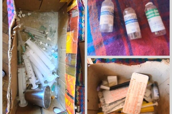 80 горшков в квартире: одесситу грозит тюрьма за выращивание конопли 