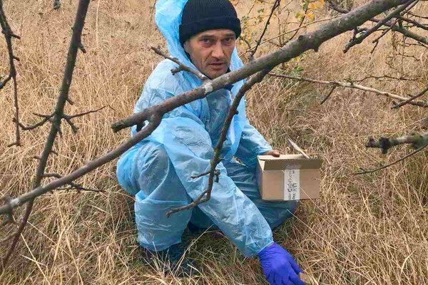 В Одесской области разложили более 200 тысяч приманок с вакциной от бешенства