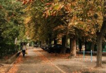 Тепло до +18 °С, но с дождями: какая погода будет в Одессе в эти выходные