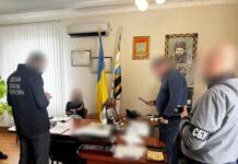 Махинации с государственной землей: в Одесском районе задержали председателя сельского совета