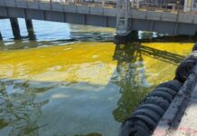Из-за удара по порту на Одесщине в море попали тонны подсолнечного масла