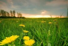 Считанные недели до лета: какая погода будет в Одессе в мае