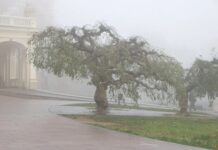 С туманом и дождем: какая погода будет в Одессе в эти выходные